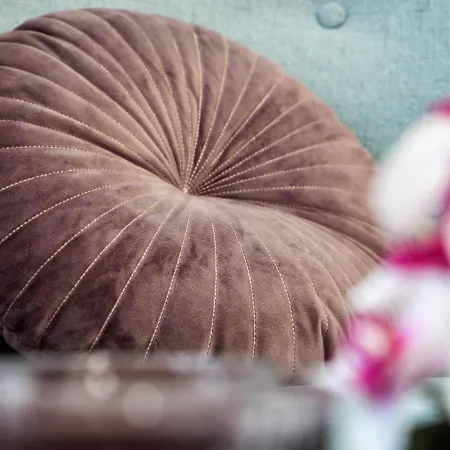 Arena Delight * 풀라