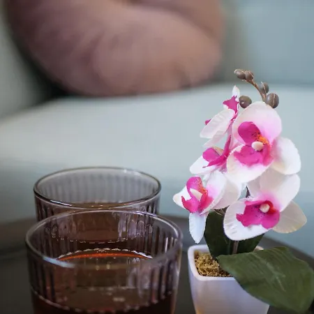 Arena Delight 아파트 *