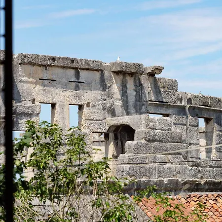 Arena Delight Pula