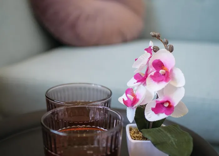 Arena Delight Apartman *